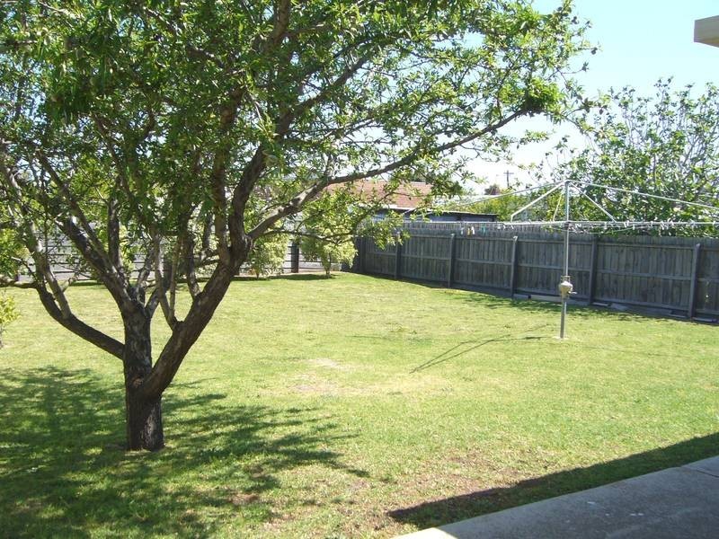 31 HARVEY ROAD, St Leonards VIC 3223