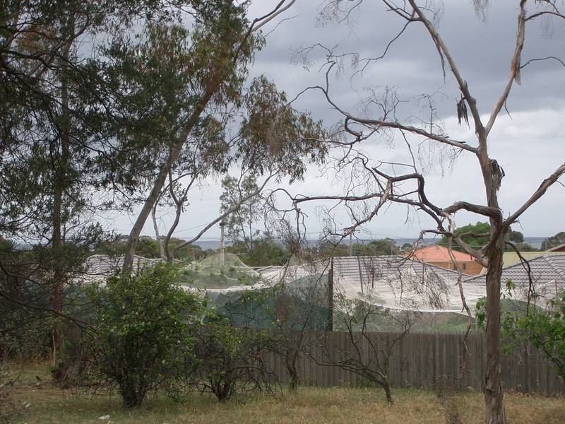 39 Brown Street, Portarlington VIC 3223