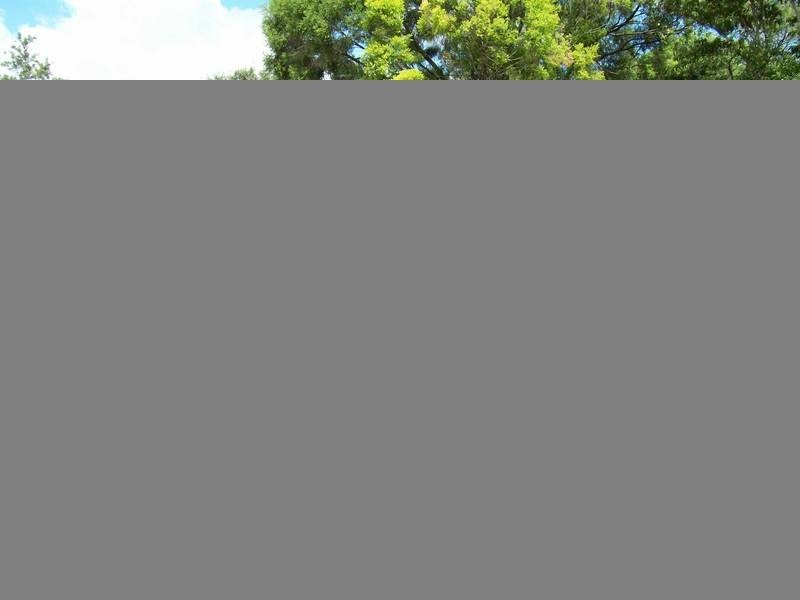 Eastern Heights QLD 4305