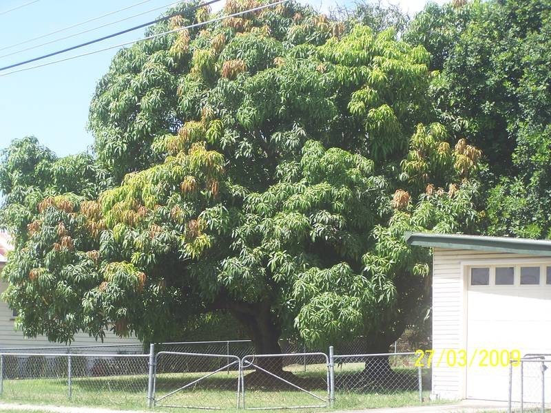 45 North Station Road, North Booval QLD 4304