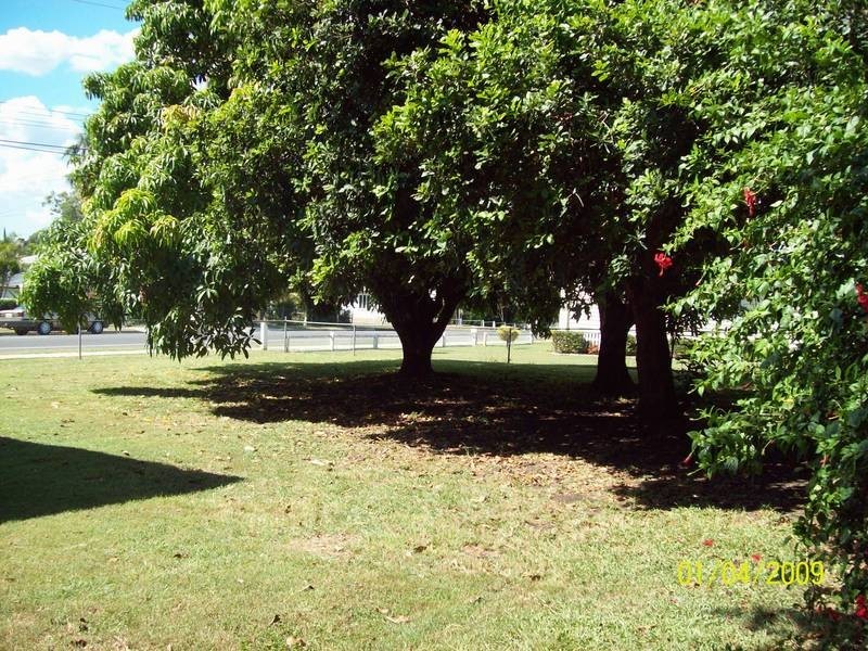 45 North Station Road, North Booval QLD 4304