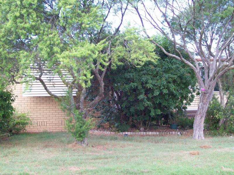 14 Doorey Street, One Mile QLD 4305