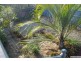 37 Canning Street, North Ipswich QLD 4305