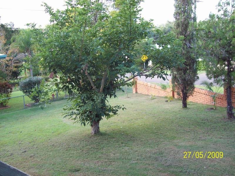 4 Weldon Street, North Ipswich QLD 4305