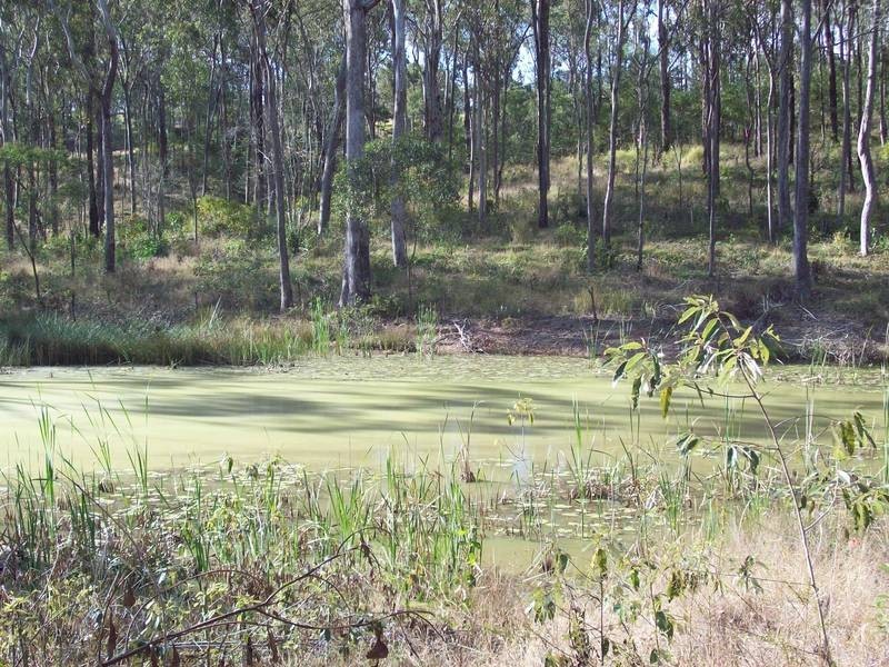 30 Riverside Drive, Muirlea QLD 4306