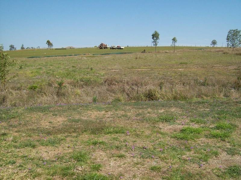 Willowbank QLD 4306
