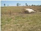 Willowbank QLD 4306