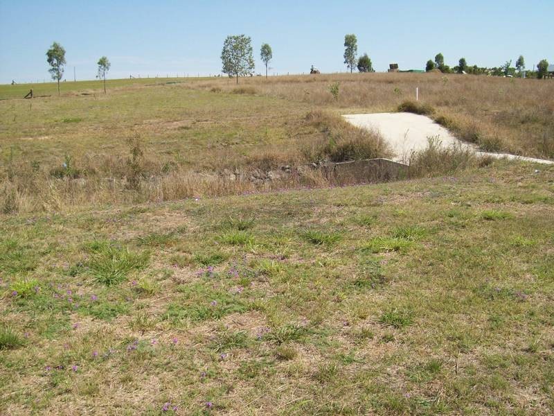 Willowbank QLD 4306