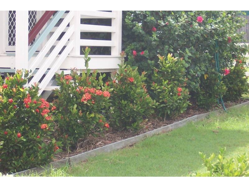 Blackstone QLD 4304