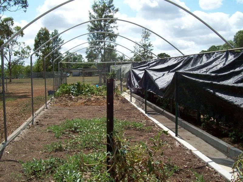 69 Lloyds Road, Wanora QLD 4306