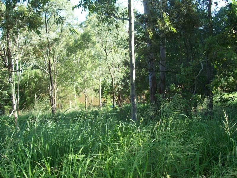 13A Tantivy Street, Tivoli QLD 4305