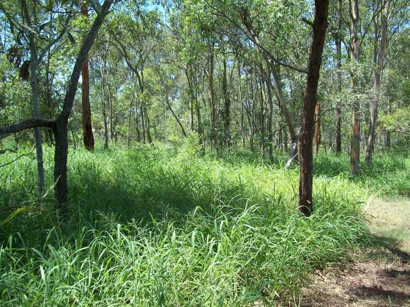 29-31 Arunta Street, Karalee QLD 4306