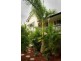 34 Flint Street, North Ipswich QLD 4305