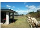 Raceview QLD 4305
