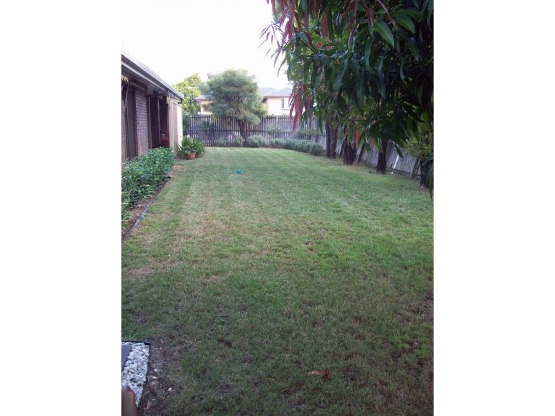 24 Hibiscus Street, Raceview QLD 4305