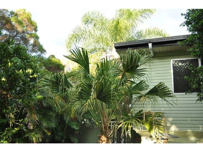 North Ipswich QLD 4305