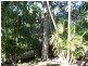 North Ipswich QLD 4305