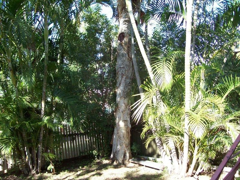 North Ipswich QLD 4305