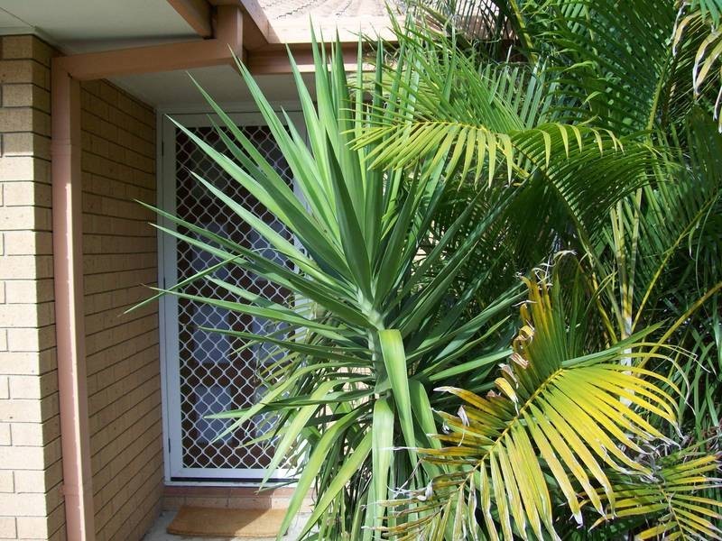 2/15 Mooney Close, Goodna QLD 4300