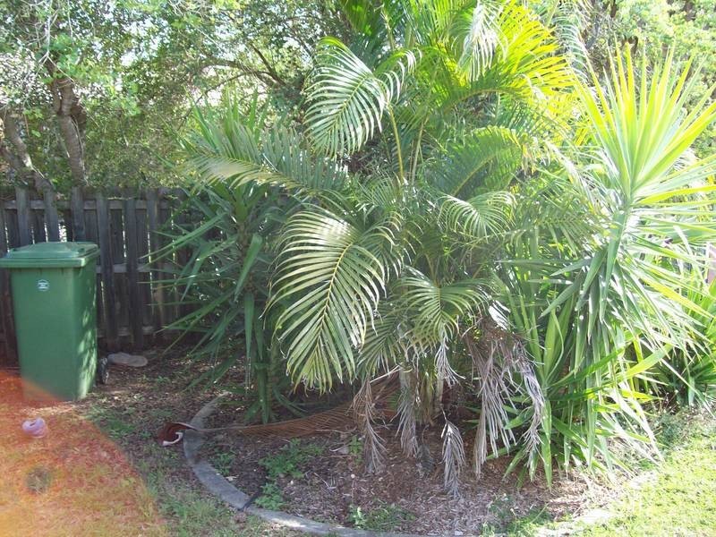 2/15 Mooney Close, Goodna QLD 4300