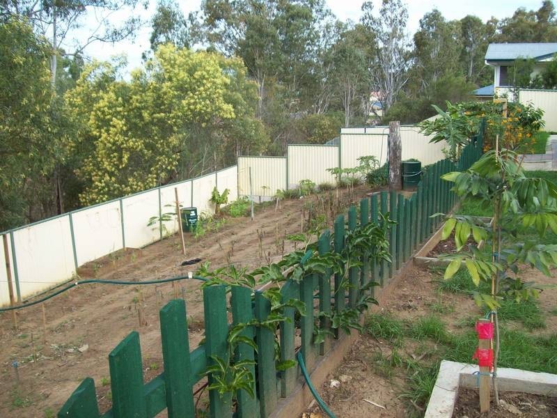 39 Palma Rosa Drive, Wulkuraka QLD 4305