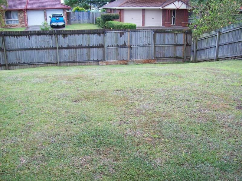 8 Challenger Avenue, Flinders View QLD 4305