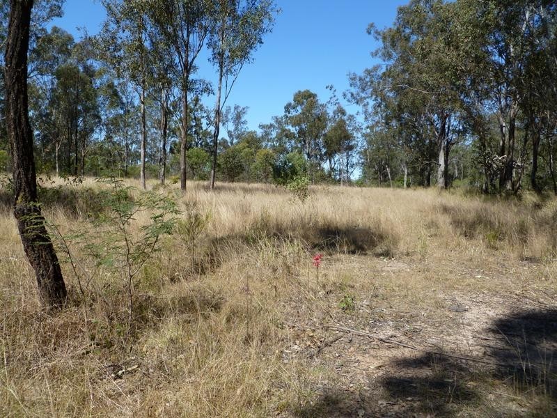 47 Haigslea-Amberley Road, Haigslea QLD 4306