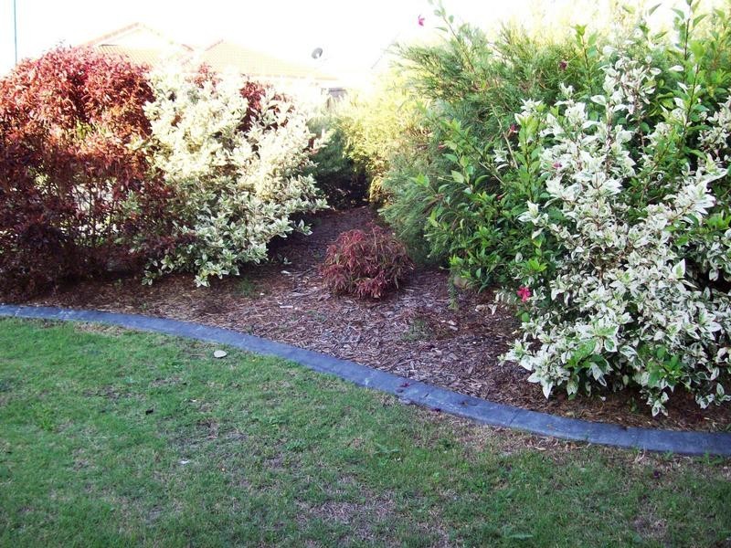 17 Brighton Street, Raceview QLD 4305