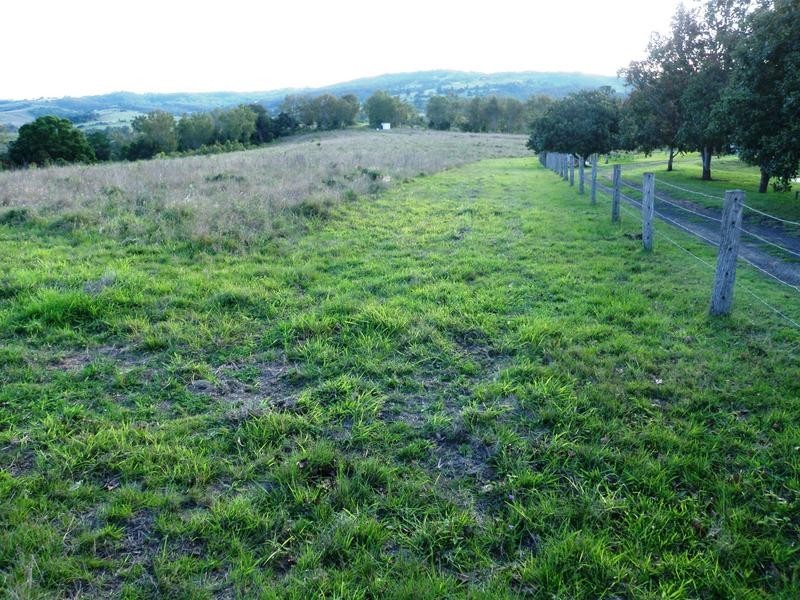 95 Zabels Road South, Minden QLD 4311