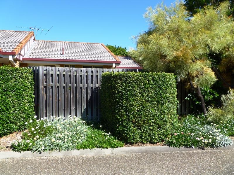 24/110 Thornton Street, Raceview QLD 4305