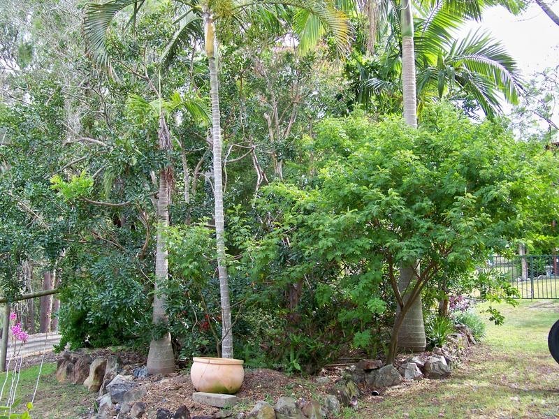 156 Blackwall Road, Chuwar QLD 4306