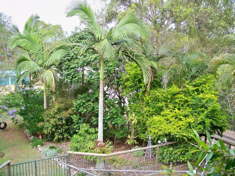 156 Blackwall Road, Chuwar QLD 4306