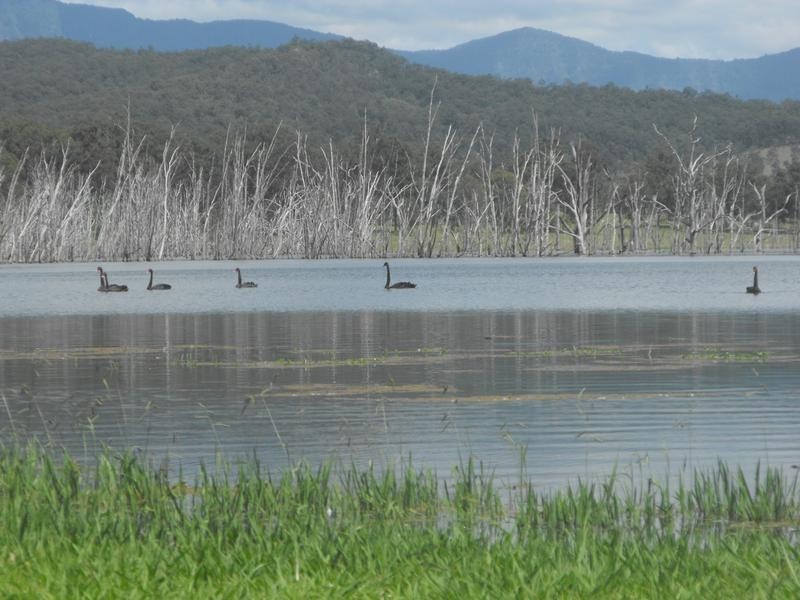 1474 Lake Moogereh Road, Moogerah QLD 4309