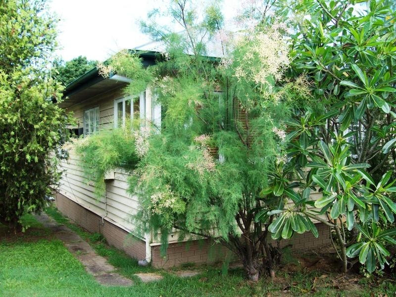 9 Holt Street, Brassall QLD 4305