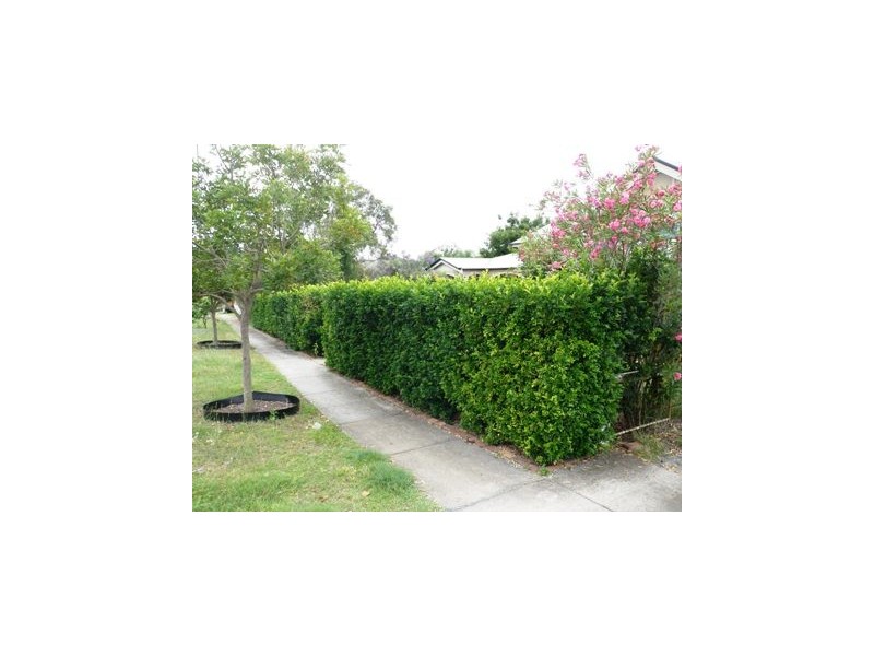 61 Harlin Road, Coalfalls QLD 4305