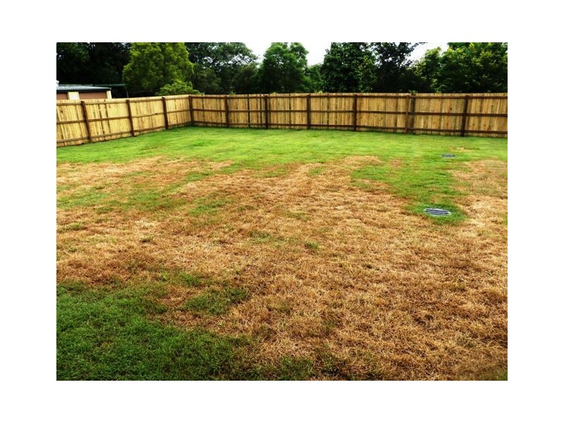 74 Nelson Street, Bundamba QLD 4304