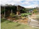 76 Poplar Street, Walloon QLD 4306