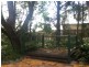 31 Cafferky Street, One Mile QLD 4305