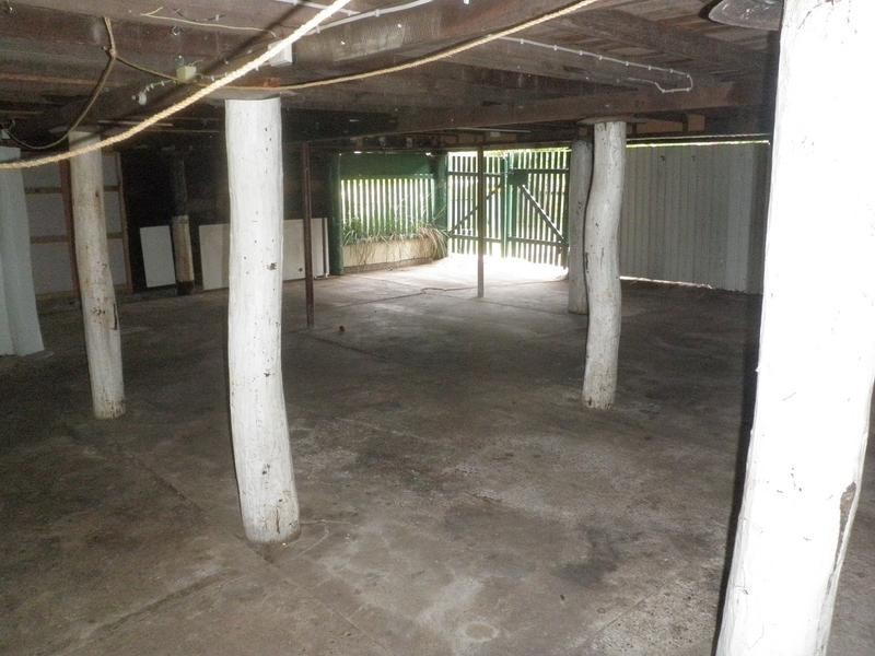 9 Shine Street, One Mile QLD 4305