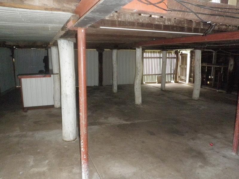 9 Shine Street, One Mile QLD 4305