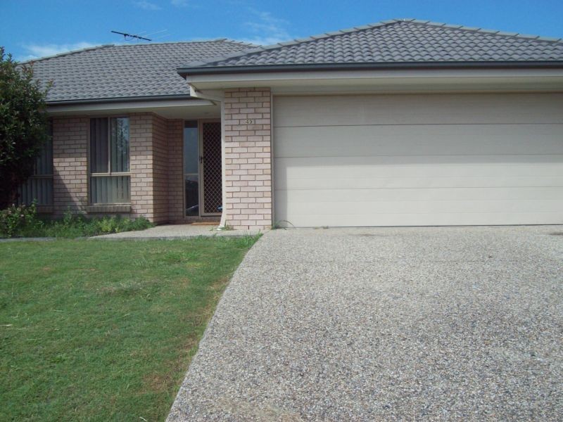 49 Banksia Drive, Raceview QLD 4305