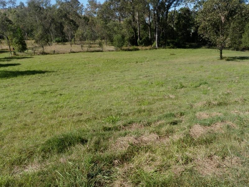 6 Nidus Court, Fernvale QLD 4306