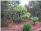 14 Newstead Court, Brassall QLD 4305