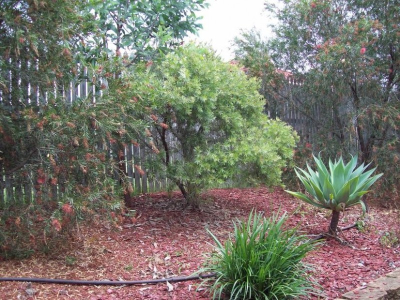 14 Newstead Court, Brassall QLD 4305