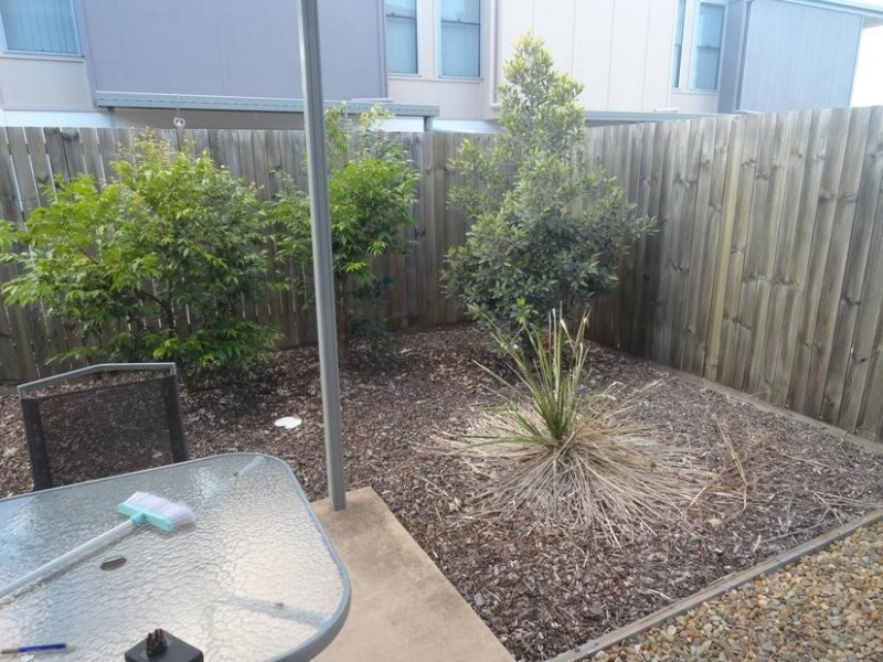 17/108A Cemetery Road, Raceview QLD 4305