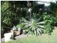 111 Mount Crosby Road, Tivoli QLD 4305