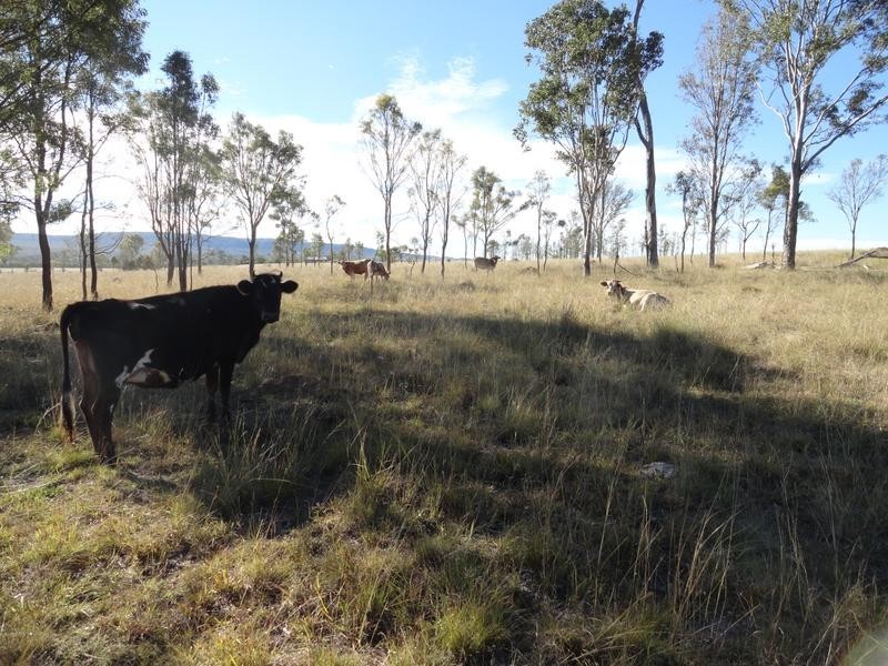 Calvert QLD 4340