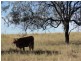 Calvert QLD 4340