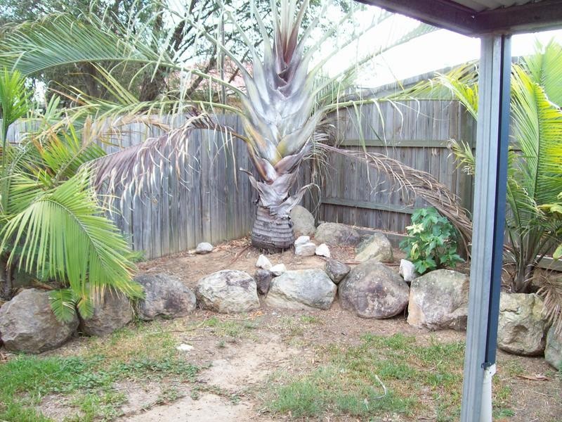 8 Conan Close, Wulkuraka QLD 4305