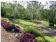 1084 Pine Mountain Road, Pine Mountain QLD 4306